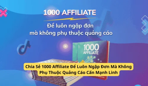 Chia Sẻ 1000 Affiliate Để Luôn Ngập Đơn Mà Không Phụ Thuộc Quảng Cáo Cấn Mạnh Linh