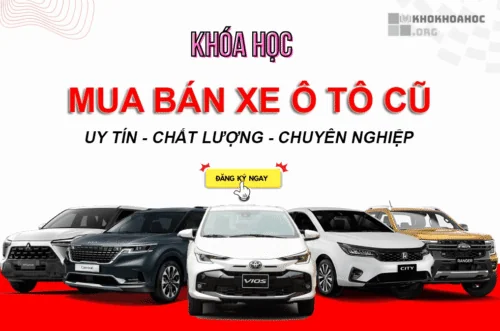 Share Miễn Phí Khóa Học Mua Bán Xe Ô Tô Cũ Chuyên Nghiệp