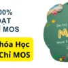 Khóa Học MOS Online Miễn Phí