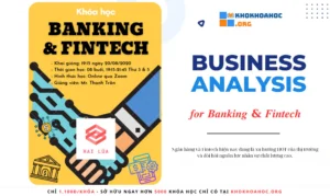 Khóa Học Business Analysis For Banking & Fintech Cùng Hai Lúa