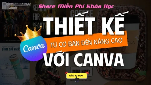 Share Miễn Phí Khoá Học Canva Cơ Bản Đến Nâng Cao Cùng Mọt Canva